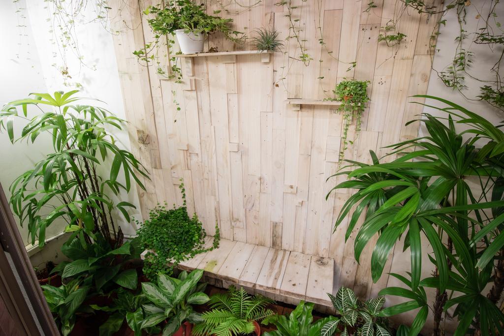 Cozy Cozy Hostel Тайнан Екстериор снимка